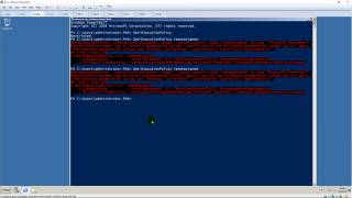 Use script : Running PowerShell Scripts on Windows Server 2008