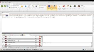 SpinnerChief 2 Basic Article Spinning 1