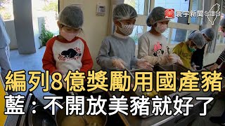 編列8億獎勵用國產豬 藍 : 不開放美豬就好了｜寰宇新聞20200930