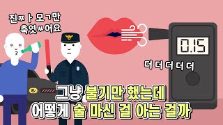 음주 측정기를 불기만 했는데 어떤 원리로 술을 마신 걸 아는 걸까