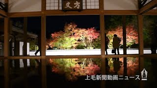 幻想の「床もみじ」　桐生・宝徳寺で紅葉が見頃に