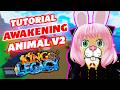 Cara Awakening Race Animal V2 di King Legacy #roblox #kinglegacy