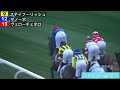 【ドバイwcデー】ドバイゴールドカップ（g2）（2022年3月26日）／ステイフーリッシュ、ヴェローチェオ出走