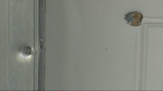 91-year-old Sylacauga woman speaks out after bullets miss her by inches