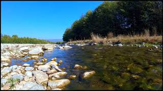 1 Hours Relaxing Nature Sounds Calming Birdsong Sound of Water Relaxation Meditation