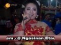 tuluseng tresno - campursari supra nada live in ngasinan masaran