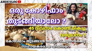 ഇറച്ചികോഴി വളർത്തൽ ഇനി ആർക്കും തുടങ്ങാം|Broiler chicken Farming Kerala Thrissur|