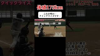 【日本を制したクイックライズ】男子ソフトボール　ＳＢＩＰ東北　古海投手　 #ソフトボール #野球 #softball #甲子園 #好プレー集 #プロ野球 #shorts