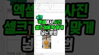 셀에 딱 맞게 이미지 넣는 방법! 계속해서 수정 가능한 꿀팁!!