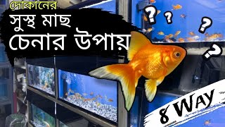 How To Know Is Your Aquarium Fish Healthy? | 8 way | Why fish DIE within 2 days