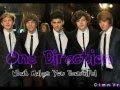 One Direction - What Makes You Beautiful Chipmunk Version :D