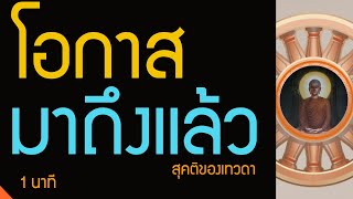 ได้เกิดมาเป็นมนุษย์นี่ คือ สุดยอดแล้ว และโอกาสมาถึงแล้ว | สุคติของเทวดา | พุทธวจน ทางนิพพาน #Shorts