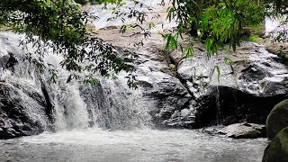 Mechal - Kolani hills - Trekk to kattikayam waterfalls through the forest | Unexplored in Kottayam