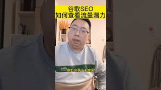 谷歌SEO如何查看流量潜力？