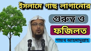 ইসলামে গাছ লাগানোর গুরুত্ব ও ফজিলত এবং- গাছ কাটার শাস্তি ।। শায়খ আহমাদুল্লাহ ।। গাছ লাগানোর ফজিলত