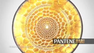 Pantene Hair Fall Control  \