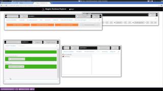 MagLev Database Explorer: Overview