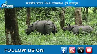 📌পৰ্যটকৰ বাবে সাজু   মানাহ ৰাষ্ট্ৰীয় উদ্যান