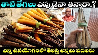 Thati Tegalu Health Benefits | Tender Palm Shoot Medicinal Benefits | CL Venkat Rao | i6 Health