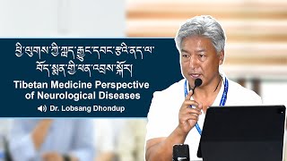 Tibetan Medicine Perspective of Neurological Diseases