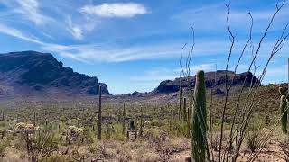 Rock Wren trail (SE of Tucson)