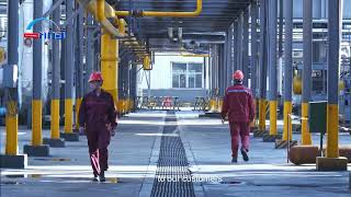 Sustainability in Action | LINK Carbon