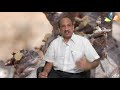 Dr. V.G. Mohan Prasad, Chairman of VGM Hospital speaks about சாம்பிராணி / Frankincense - Series 1