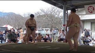 一部 団体予選　第47回 高知県総合相撲選手権大会