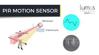 PIR motion sensor | How do they Work?