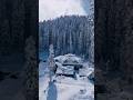 beauty of kashmir snowfall Gulmarg #ytshorts #shorts #short #shortvideo #shortsfeed