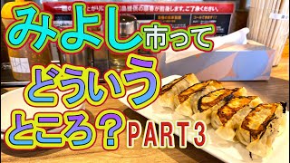 【みよしってどういうところ？シリーズPART3】ゆっくり紹介