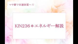 【マヤ暦】KIN236の運に愛される過ごし方♡