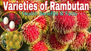 VARIETIES OF RAMBUTAN AROUND THE WORLD... || HEALTH BENEFITS || FACTS ABOUT RAMBUTAN...