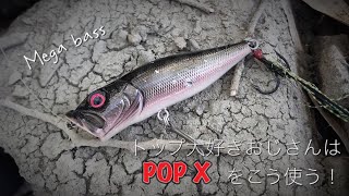 【POP X】発売から現在まで釣れ続いてる伝説のルアー紹介‼︎