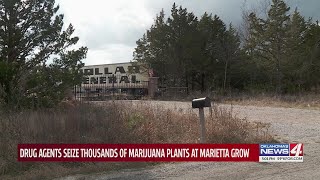 Drug agents seize thousands of marijuana plants at Marietta grow