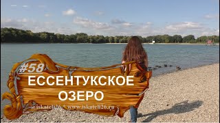 Утиные истории.  Ессентукское озеро.  Ессентуки 2021