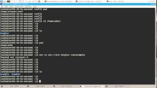 SVN quick start