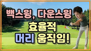 [골프레슨]백스윙과 다운스윙 시에 효율적인 머리 움직임을 연습해 봅시다/백스윙탑머리움직임/다운스윙머리움직임/다운스윙왼쪽벽만들기/다운스윙축고정/골프스윙머리움직임/골프머리고정/골프