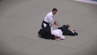 Yokota Shihan Embu, 55th All Japan Aikido Embukai, 2017