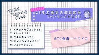 【23年産】調教動画①　BTC坂路コース　2024年11月中旬撮影