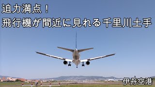 【迫力満点！】飛行機を間近に見れる千里川土手(伊丹空港)