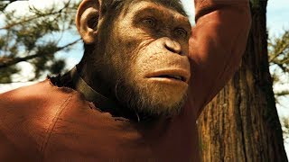 Caesar Growing Up Scene - Rise of the Planet of the Apes (2011) Movie Clip HD