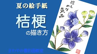 夏の絵手紙「桔梗の描き方」