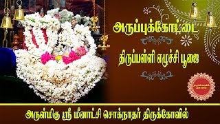 திருப்பள்ளி எழுச்சி பூஜை ஸ்ரீ  மீனாட்சி சொக்கநாதர் கோவில் அருப்புக்கோட்டை | திருக்கோவில் தரிசனம்