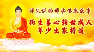 师父说的那些佛教故事【狗生善心转世成人 年少出家得道】