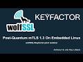 Post-Quantum mTLS 1.3 On Embedded Linux