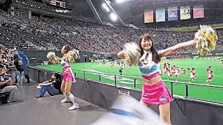 YMCAダンス(ファイターズガール・青山麻由さん\u0026渡邊姫琳さん中心バージョン）