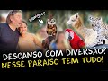 ENCONTROS MÁGICOS COM ANIMAIS SILVESTRES: CONHEÇA AS ATRAÇÕES DO ECOPARK!