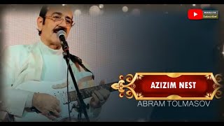 Avrom Tolmasov - Azizim Nest