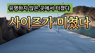 대사리 학꽁치  잔치에 사이즈가  미쳤다.